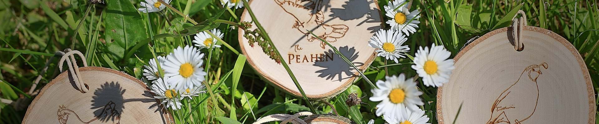 Cock O'Barton Gallery